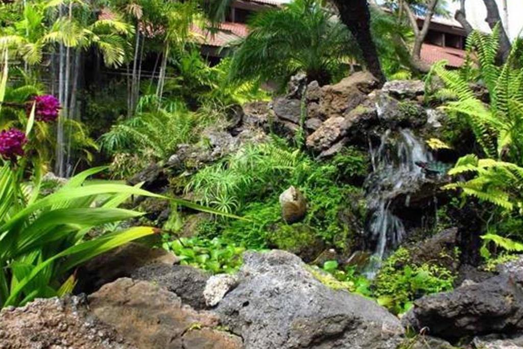 דירות קיהיי Maui Tranquility מראה חיצוני תמונה
